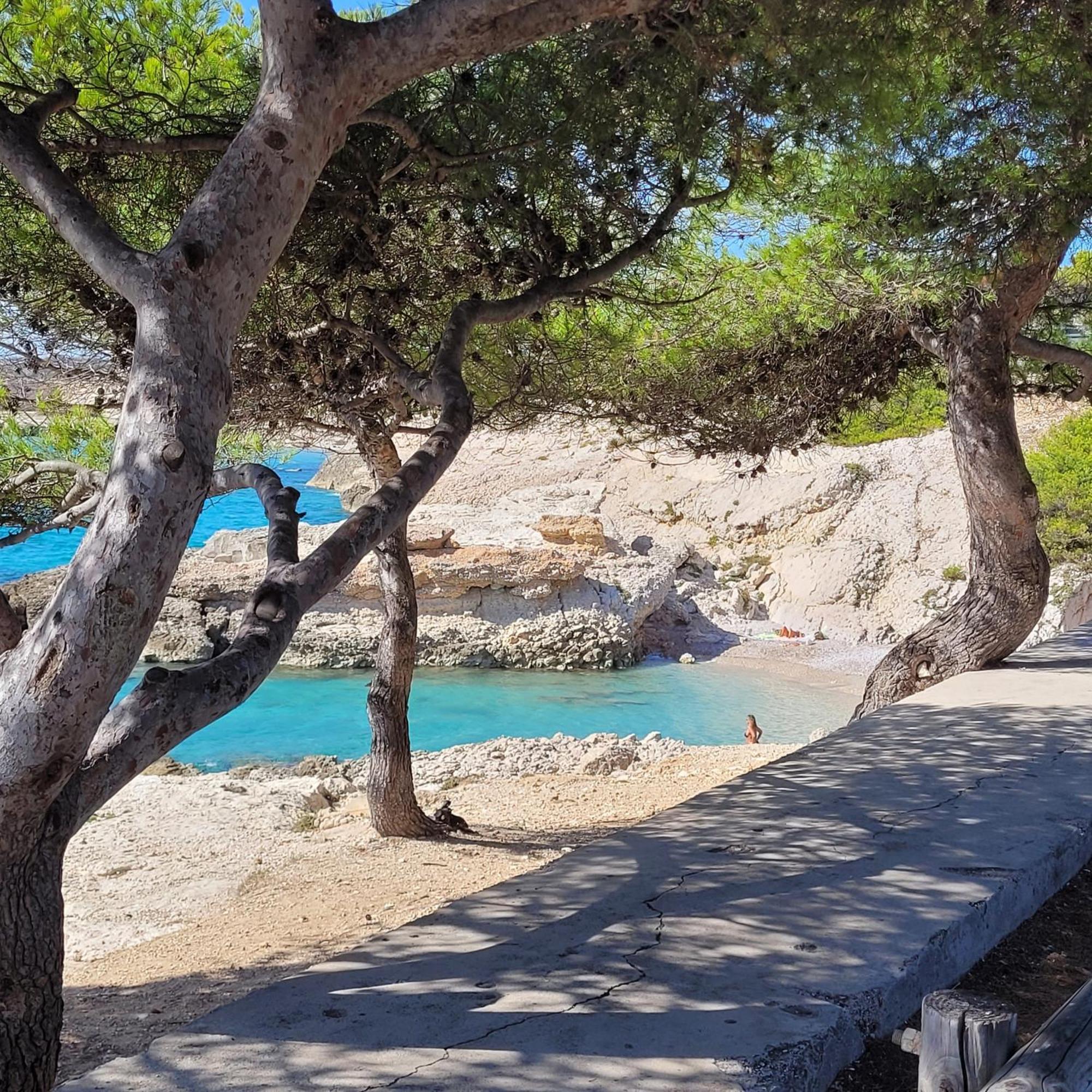 소세레팽 Les Cactus Bleus B&B 외부 사진
